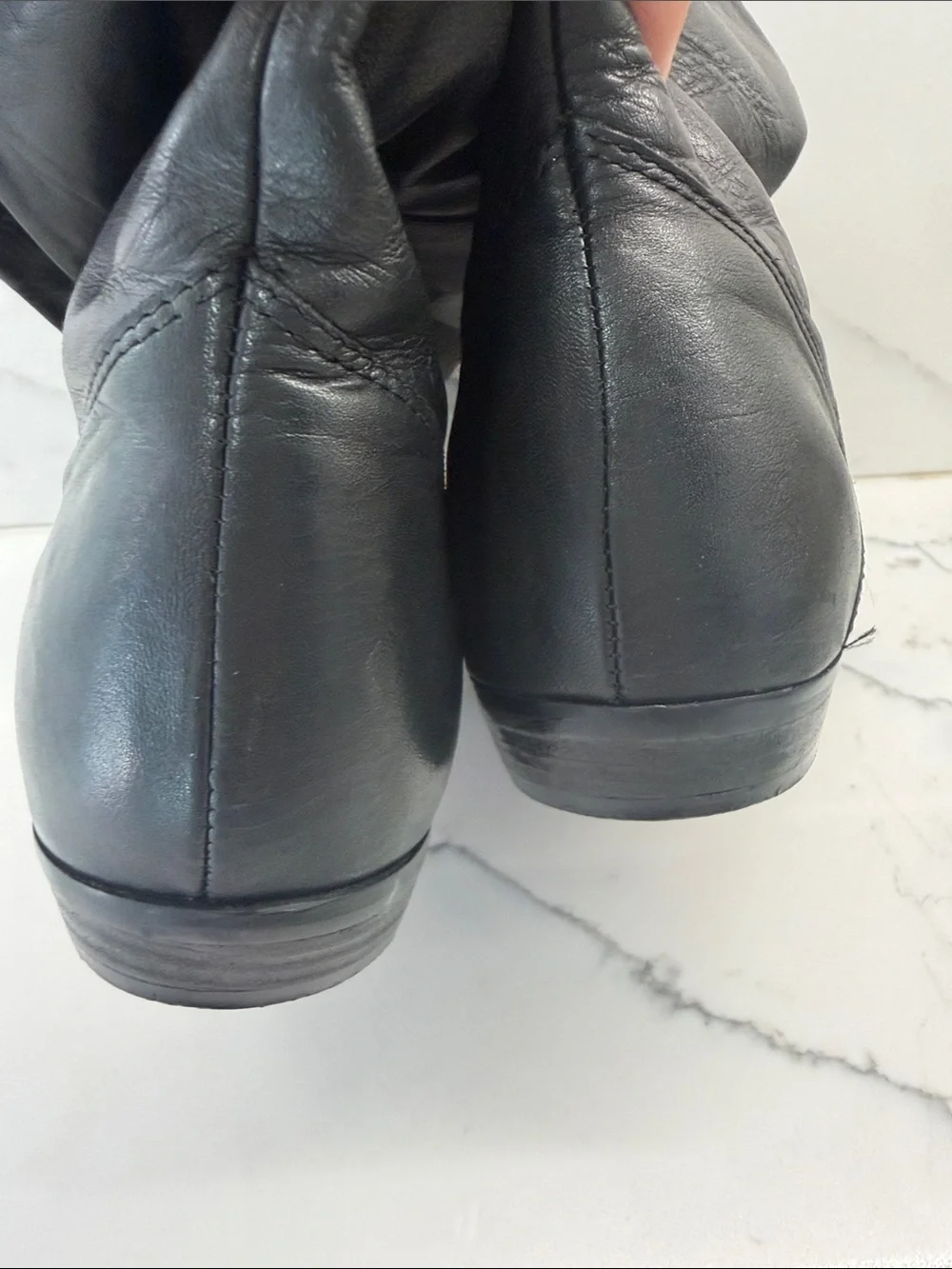 Connie sport refined modern
